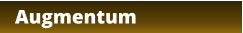 Augmentum