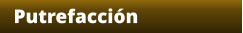 Putrefacción