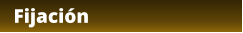 Fijación