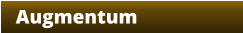 Augmentum
