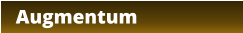 Augmentum